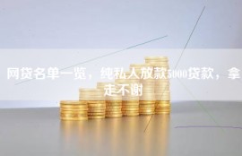 网贷名单一览，纯私人放款5000贷款，拿走不谢