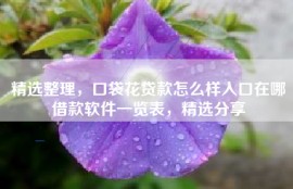 精选整理，口袋花贷款怎么样入口在哪借款软件一览表，精选分享