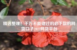 精选整理！千万不能错过的必下款的网贷口子2022网贷平台