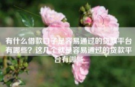 有什么借款口子是容易通过的贷款平台有哪些？这几个就是容易通过的贷款平台有哪些