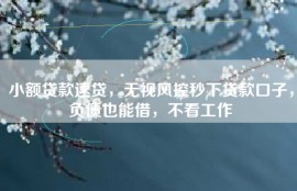小额贷款速贷，无视风控秒下贷款口子，负债也能借，不看工作