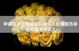 申请住房公积金贷款时个人信用报告审核标准是什么？