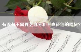 有没有不需要芝麻分和不查征信的网贷？
