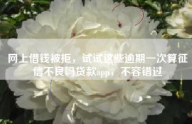 网上借钱被拒，试试这些逾期一次算征信不良吗贷款app，不容错过