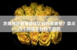 急需用钱哪里借钱比较好有哪些？盘点几个网贷平台好下款的