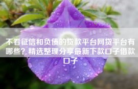 不看征信和负债的贷款平台网贷平台有哪些？精选整理分享最新下款口子借款口子