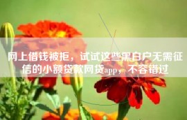 网上借钱被拒，试试这些黑白户无需征信的小额贷款网贷app，不容错过