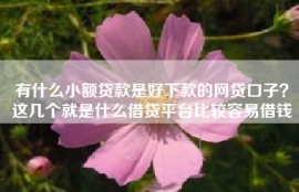 有什么小额贷款是好下款的网贷口子？这几个就是什么借贷平台比较容易借钱