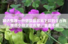 精选整理一份借款最容易下款的平台有哪些小额贷款名单，拿走不谢