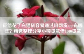 征信花了白猫贷容易通过吗网贷app有哪些？精选整理分享小额贷款借1000贷款