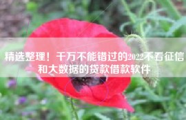 精选整理！千万不能错过的2022不看征信和大数据的贷款借款软件