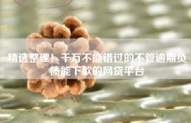 精选整理！千万不能错过的不管逾期负债能下款的网贷平台