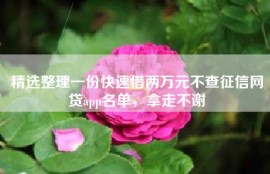 精选整理一份快速借两万元不查征信网贷app名单，拿走不谢