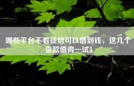哪些平台不看征信可以借到钱，这几个贷款值得一试！