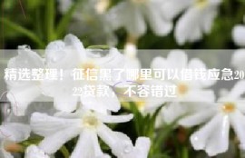 精选整理！征信黑了哪里可以借钱应急2022贷款，不容错过