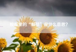 股市里的“解禁”是什么意思？
