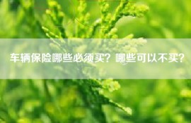 车辆保险哪些必须买？哪些可以不买？