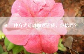 三种方式可以加速还贷，你信吗？