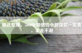 精选整理，5000小额借钱小额贷款一览表，拿走不谢
