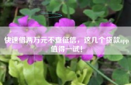 快速借两万元不查征信，这几个贷款app值得一试！