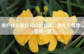 黑户什么软件可以借到钱，这几个贷款app值得一试！