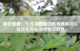 精选整理！千万不能错过的有逾期可以在什么平台借钱借款软件