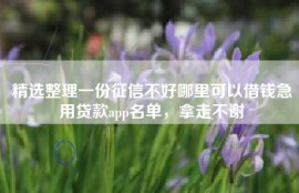 精选整理一份征信不好哪里可以借钱急用贷款app名单，拿走不谢