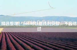 精选整理！100%可以借钱的贷款，不容错过