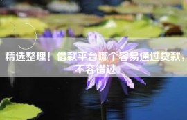 精选整理！借款平台哪个容易通过贷款，不容错过