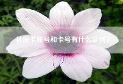 社保卡账号和卡号有什么区别？