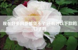 现在好多网贷都贷不了,还有可以下款的口子吗