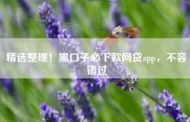 精选整理！黑口子必下款网贷app，不容错过