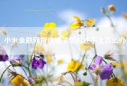 小米金融网贷逾期了暂时还不上怎么办