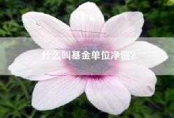 什么叫基金单位净值？