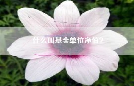 什么叫基金单位净值？