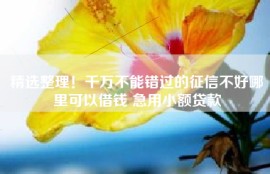 精选整理！千万不能错过的征信不好哪里可以借钱 急用小额贷款