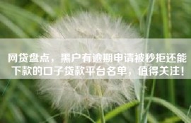 网贷盘点，黑户有逾期申请被秒拒还能下款的口子贷款平台名单，值得关注！
