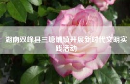 湖南双峰县三塘铺镇开展新时代文明实践活动