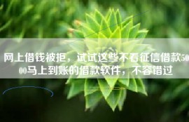 网上借钱被拒，试试这些不看征信借款5000马上到账的借款软件，不容错过