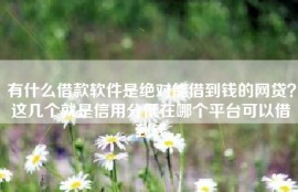 有什么借款软件是绝对能借到钱的网贷？这几个就是信用分低在哪个平台可以借到钱