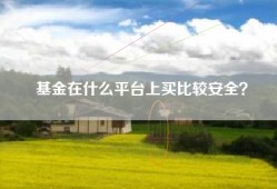 基金在什么平台上买比较安全？