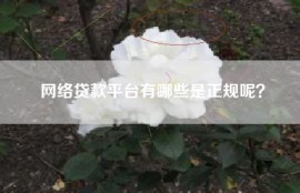 网络贷款平台有哪些是正规呢？