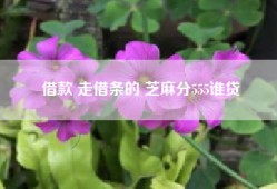 借款 走借条的 芝麻分555谁贷