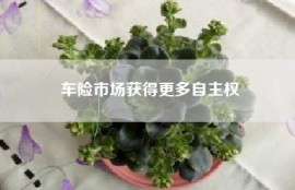 车险市场获得更多自主权