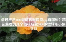借钱应急3000微信转账网贷app有哪些？精选整理的几个借钱应急3000微信转账小额贷款