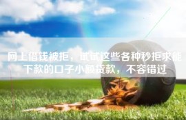 网上借钱被拒，试试这些各种秒拒求能下款的口子小额贷款，不容错过