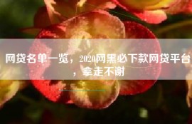 网贷名单一览，2020网黑必下款网贷平台，拿走不谢