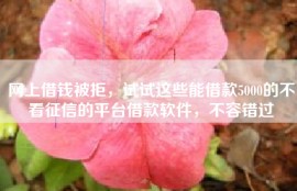 网上借钱被拒，试试这些能借款5000的不看征信的平台借款软件，不容错过