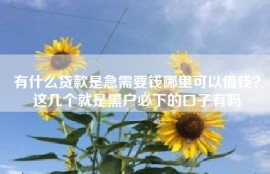 有什么贷款是急需要钱哪里可以借钱？这几个就是黑户必下的口子有吗