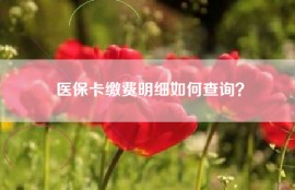 医保卡缴费明细如何查询？